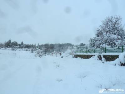 nieve, invierno, cañada; fotos comida navidad valle de nuria federacion madrileña